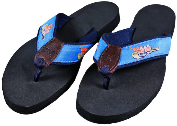 FF01_1350__70092.1427745802.1280.1280